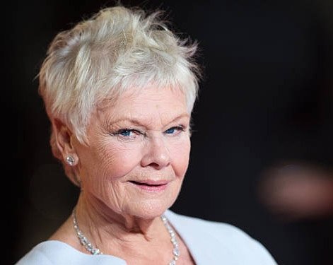 Judi Dench to star in hospital drama 'Allelujah!'