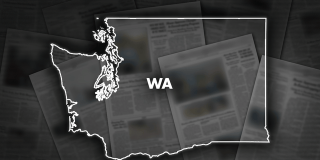 Seattle, Washington, police are looking into several shootings that occurred separately over the weekend.