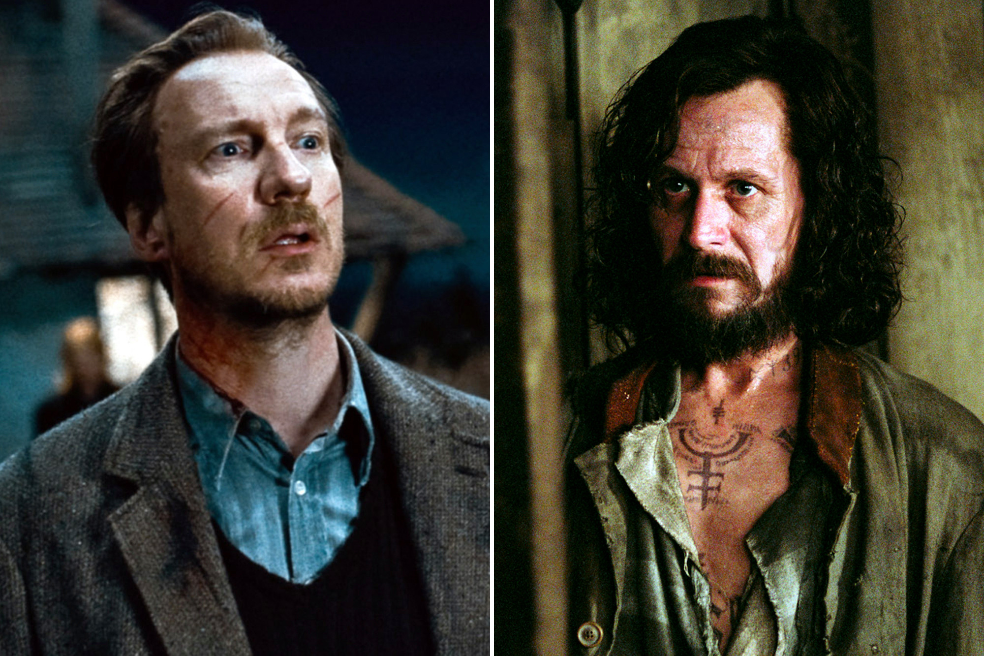 David Thewlis as Remus Lupin (left) and Gary Oldman as Sirius Black (right) in the <a href='http://www.movierental.com/link/potter'>Harry Potter</a> films