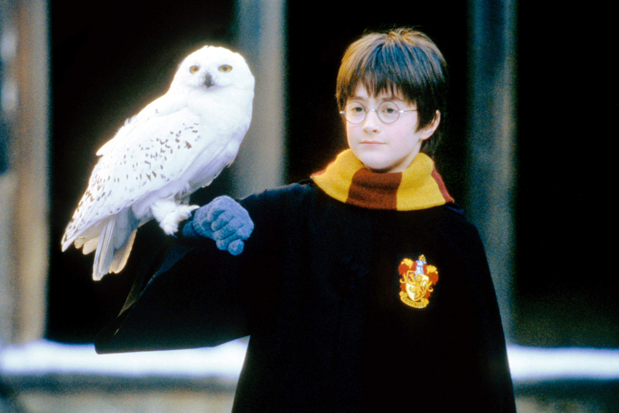 Daniel Radcliffe as <a href='http://www.movierental.com/link/potter'>Harry Potter</a>
