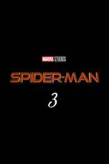 Spider-Man: No Way Home (2021)