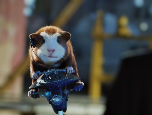BadMotorHamster